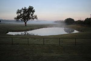 Sunup, Fog, and Farmland